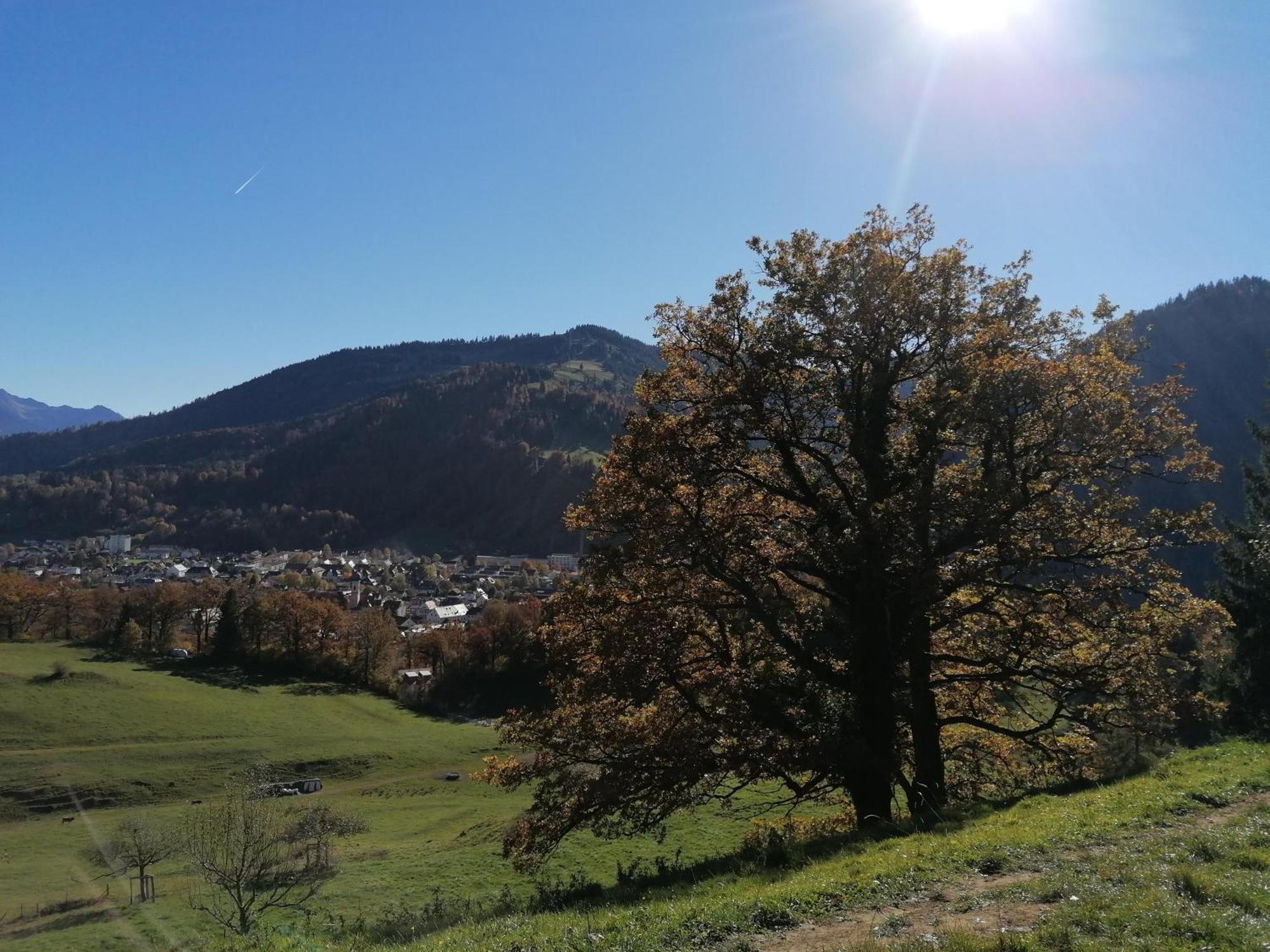 Lejlighed Auf Der Hoeh *